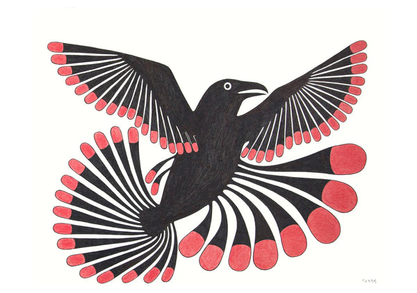 Kenojuak Ashevak Boxed Notecard Set
