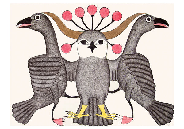 Kenojuak Ashevak Boxed Notecard Set