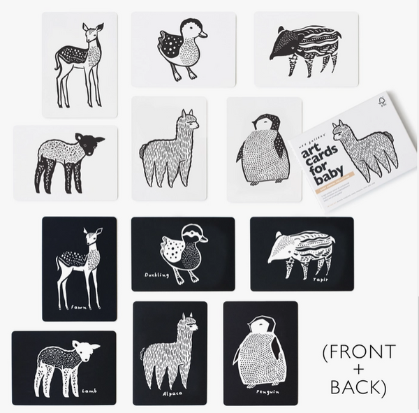 Baby Animal Art Cards
