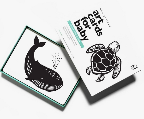 Ocean Animal Art Cards