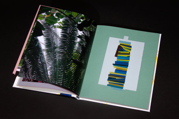 Amanda Williams book, the other option is to slow down, Candor Book Arts, SCMA, Smith College Museum of Art, Amanda Williams Studio