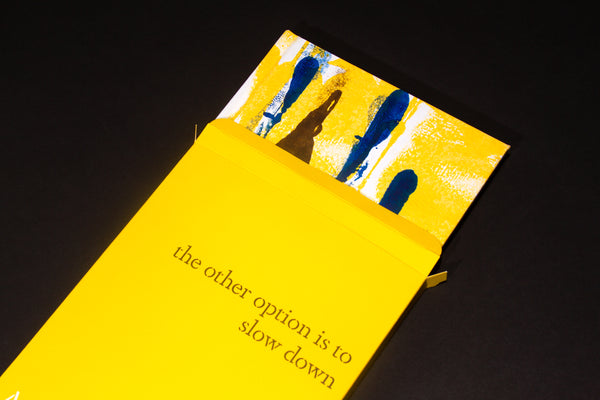 Amanda Williams book, the other option is to slow down, Candor Book Arts, SCMA, Smith College Museum of Art, Amanda Williams Studio