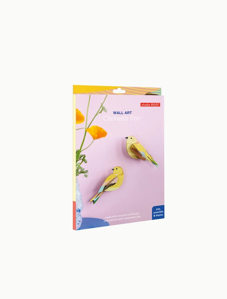 Citrinella Pair Wall Art