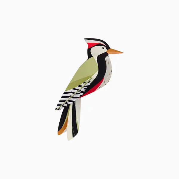 Woodpecker Wall Art