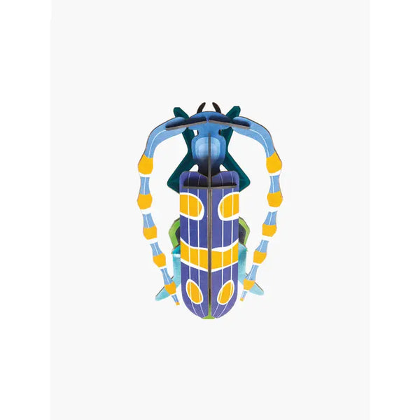 Rosalia Beetle Wall Art