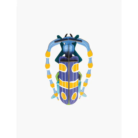 Rosalia Beetle Wall Art