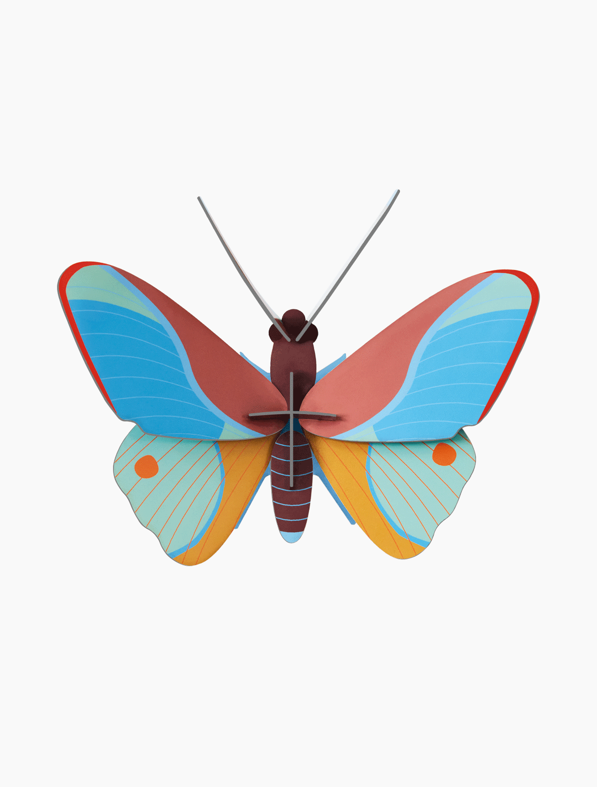 Claudina Butterfly Wall Art