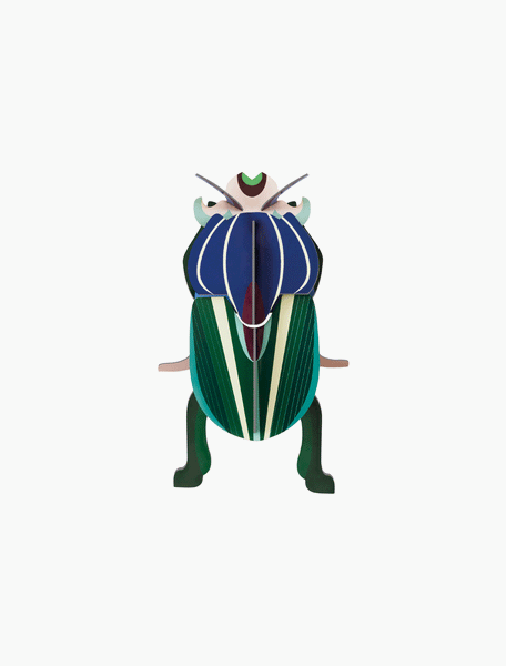 Mimela Scarab Beetle Wall Art