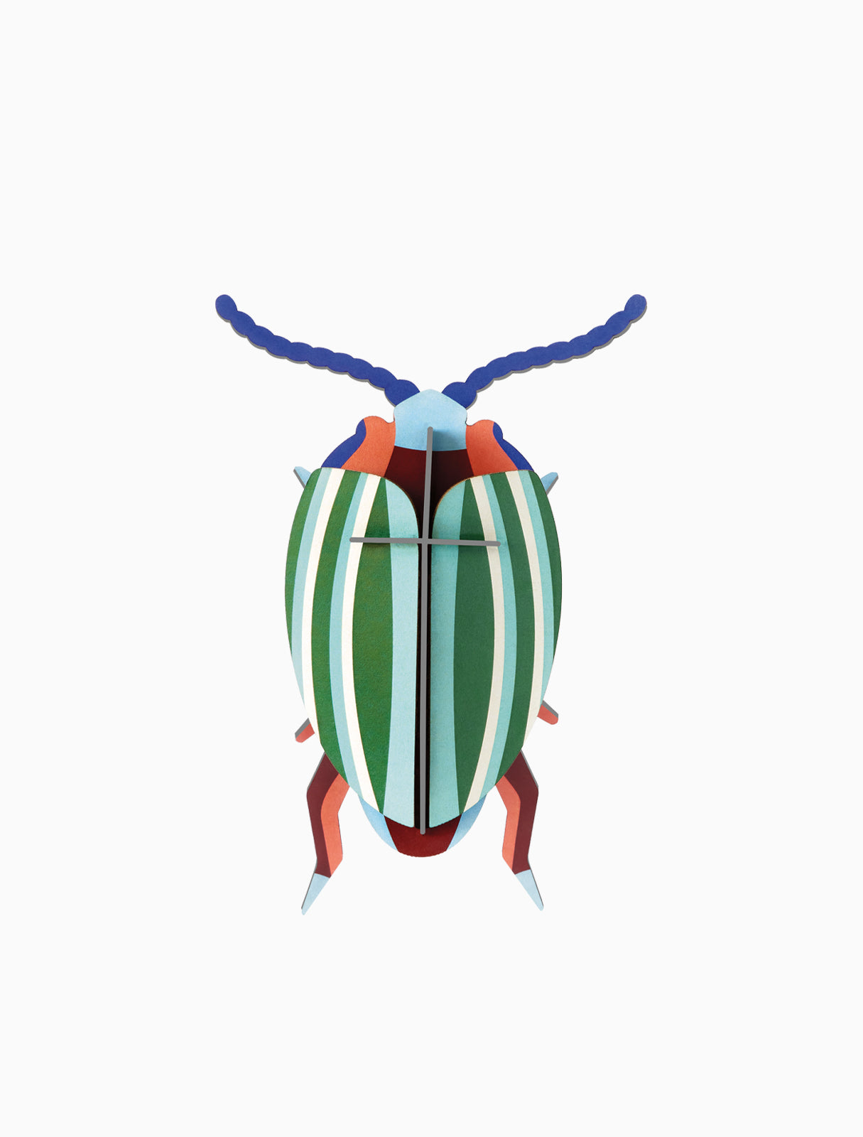 Rainbow Leaf Beetle Wall Art