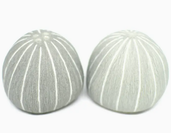 Round Salt and Pepper Shaker set, multiple options