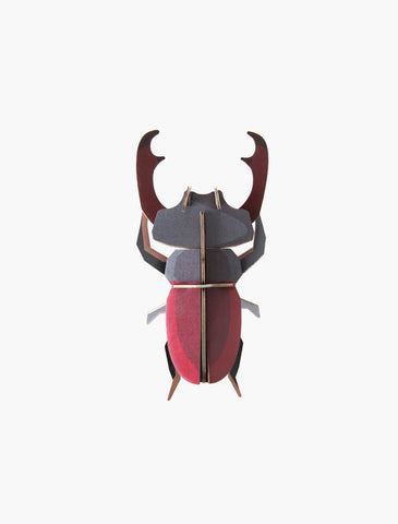 Stag Beetle Wall Art