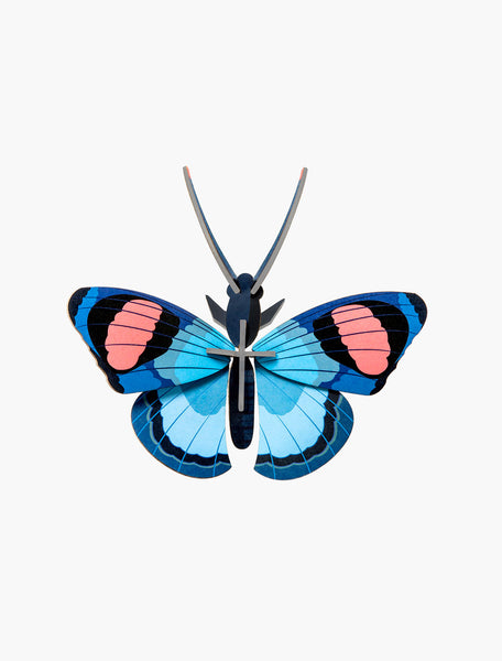 Peacock Butterfly Wall Art – SCMA Shop