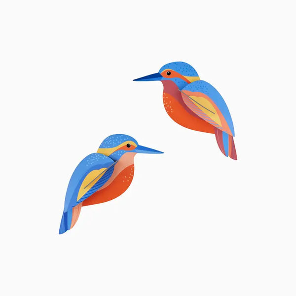 Kingfishers Wall Art