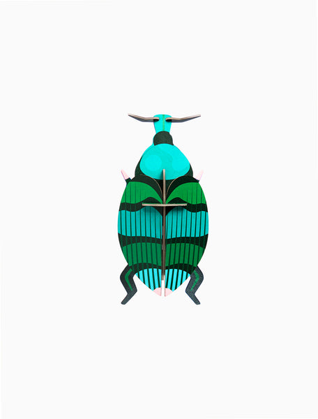 Weevil Beetle Wall Art