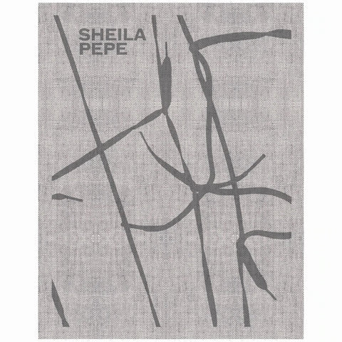 Sheila Pepe Hot Mess Formalism artists textile artist SCMA Smith College